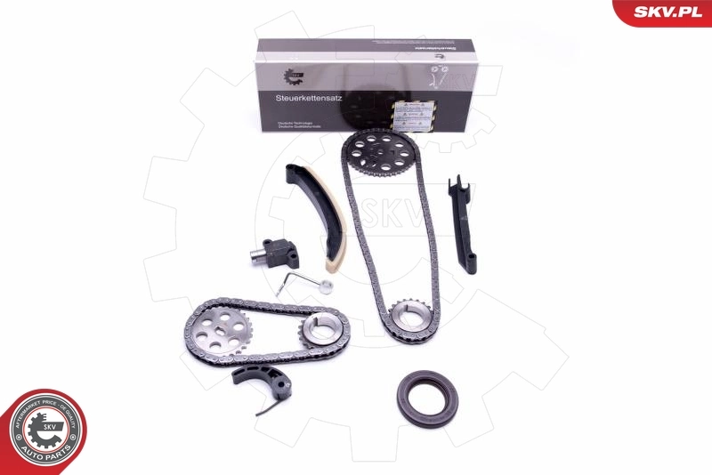Timing Chain Kit